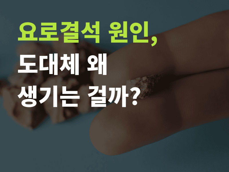 요로결석 원인