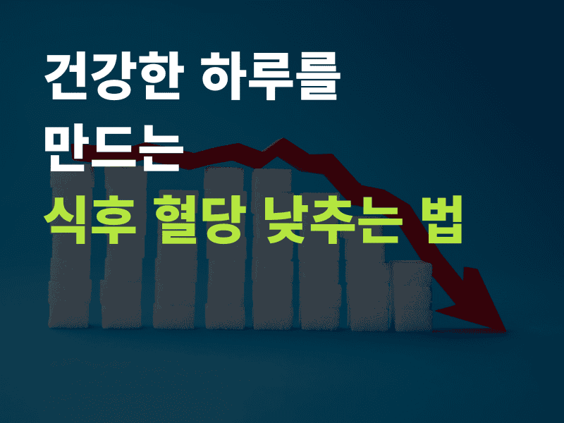 식후 혈당 낮추는 법