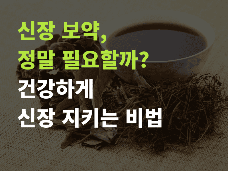 신장 보약